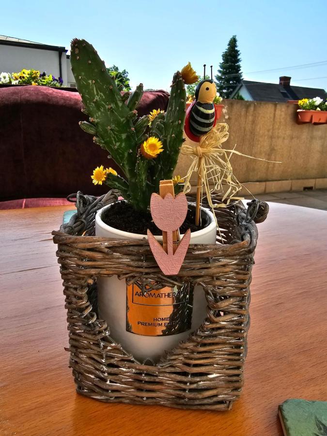 ビャウィストクDel Mi Domアパートメント エクステリア 写真